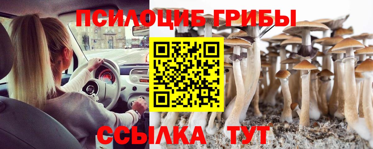 Псилоцибиновые грибы прущие грибы  Вход с VPN  Новокуйбышевск 